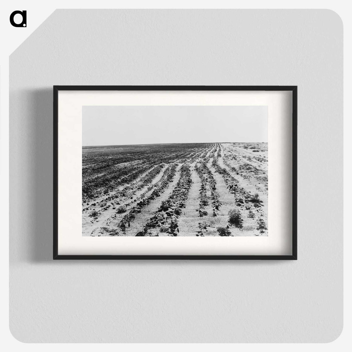 3-24_Dorothea-Lange_blk