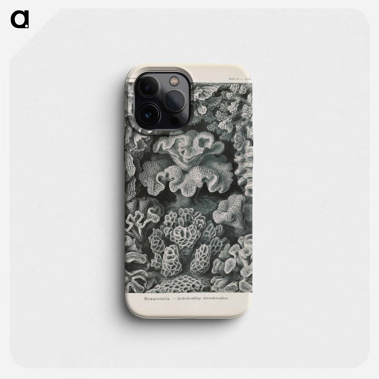 Marine life illustration - エルンスト ヘッケル Phone Case.