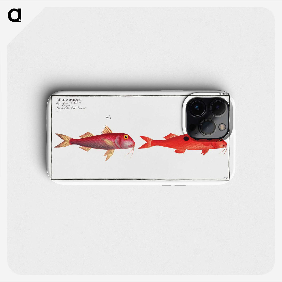 3-24_Ichtyologie-ou-Histoire-naturelle_phone