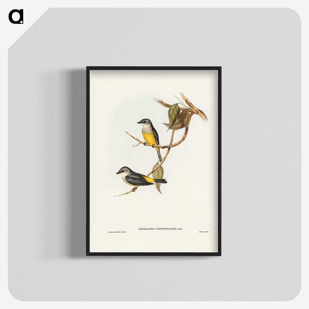 3-24_John-Gould_blk-crop