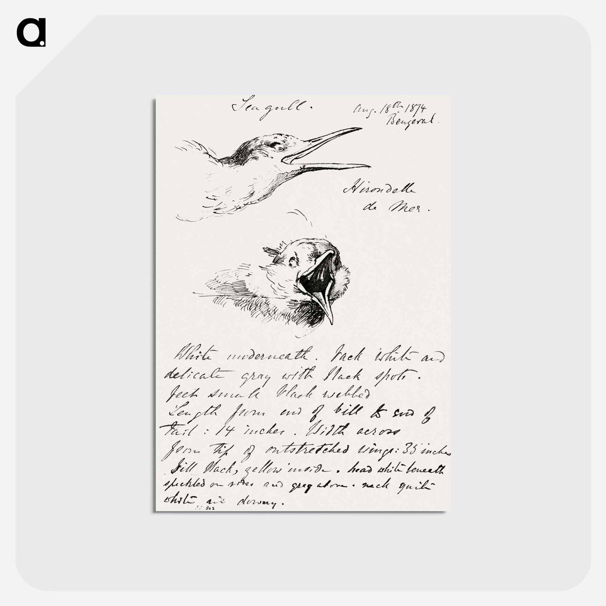 アートポストカード-Seagull - ジョン シンガー サージェント Postcard.