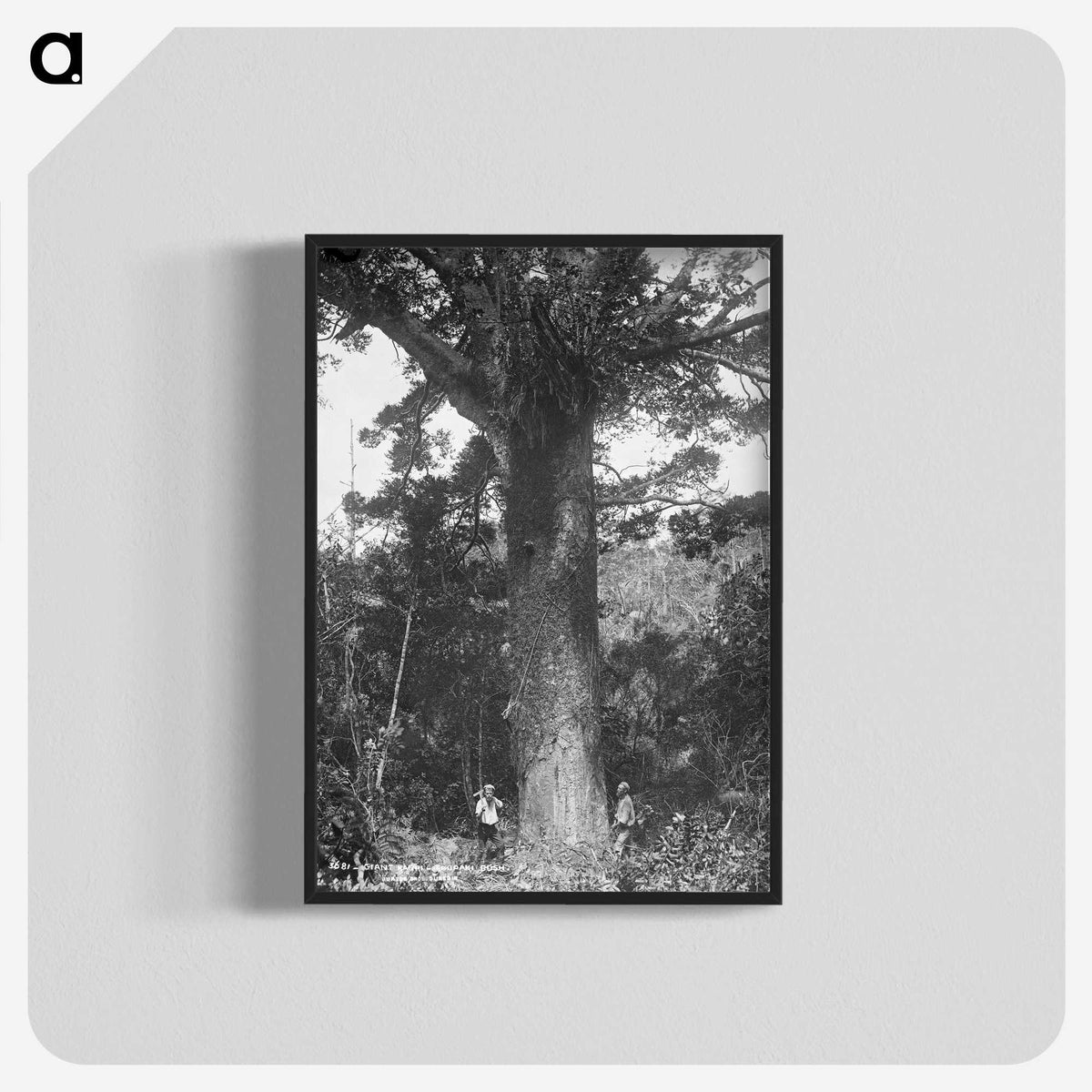 3-24_The-Burton-Brothers_blk-crop