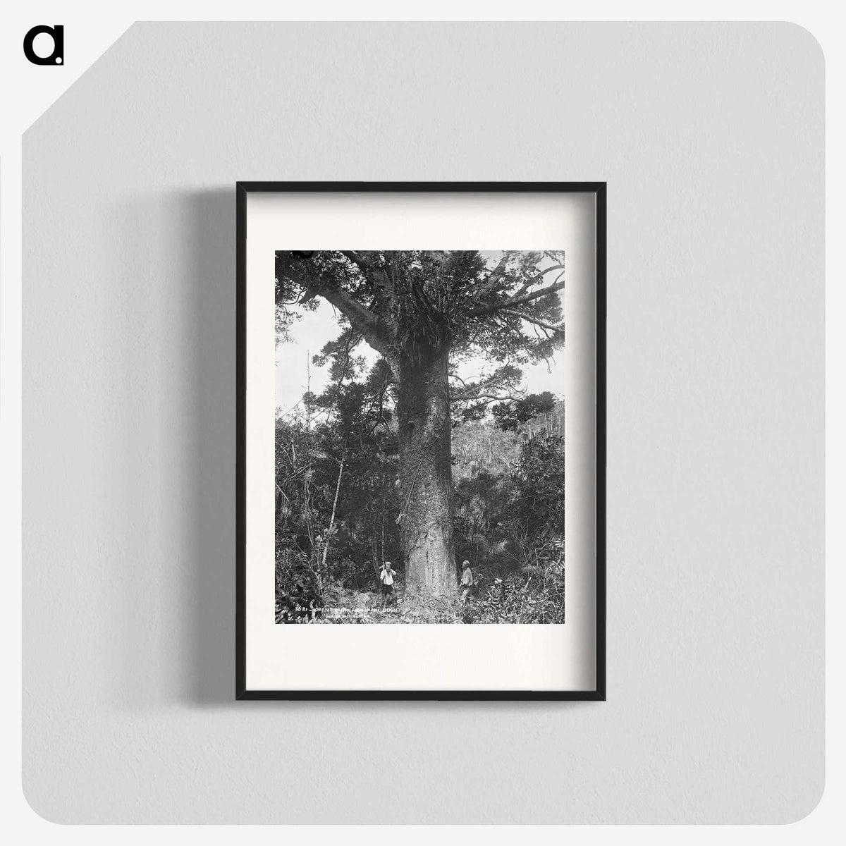 3-24_The-Burton-Brothers_blk