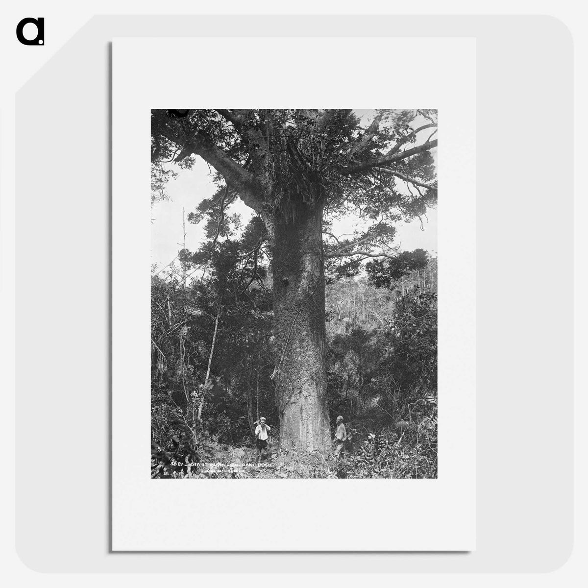 3-24_The-Burton-Brothers_picture
