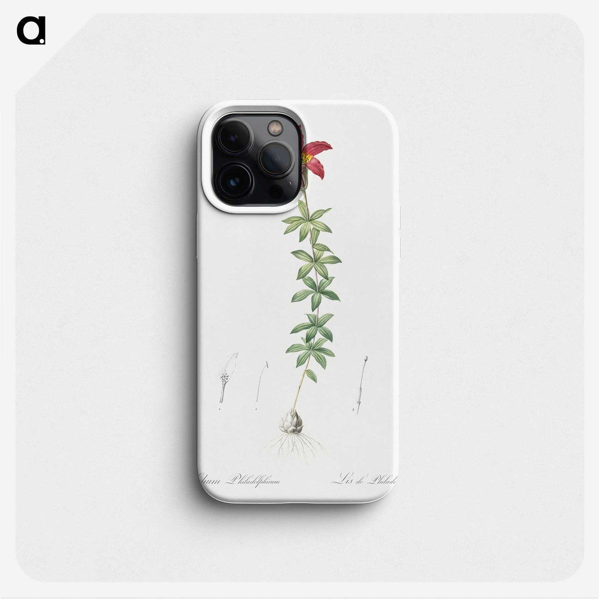 3-24_The-Lilies_phone