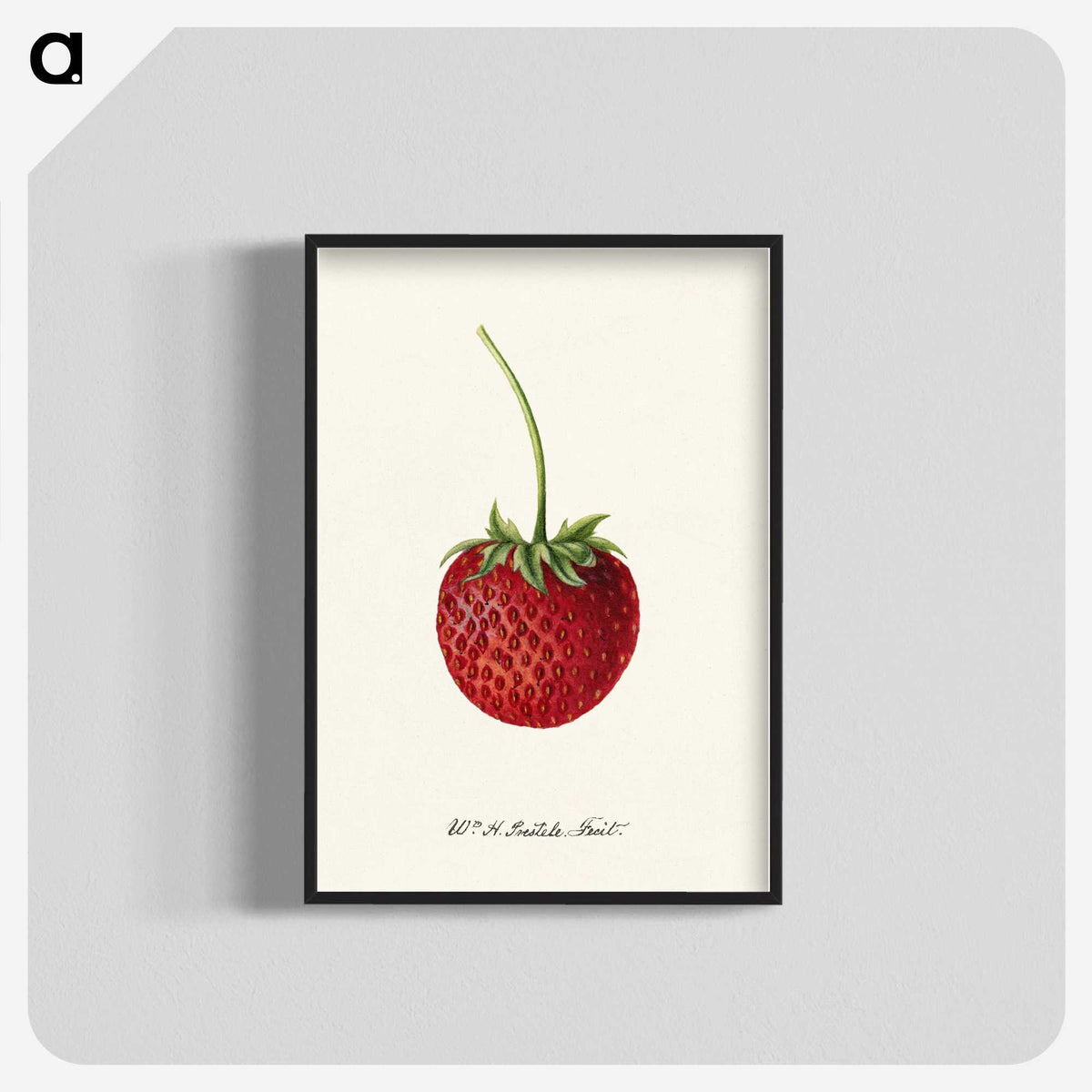 3-24_USDA-Watercolor-Fruit-Painting-Collection_blk-crop