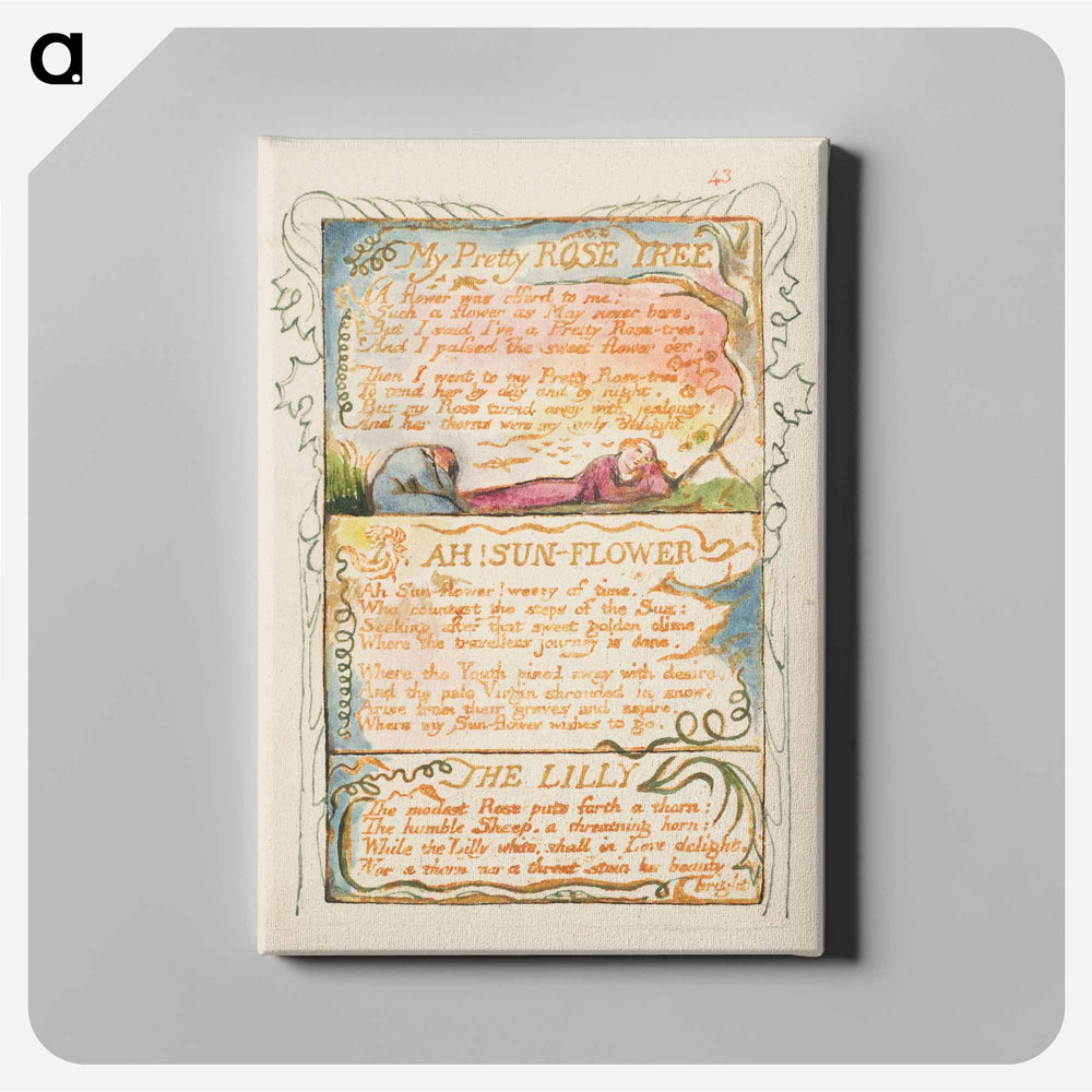 Songs of Innocence and of Experience: My Pretty Rose Tree, Ah! Sun-Flower, The Lily - William Blake Canvas.