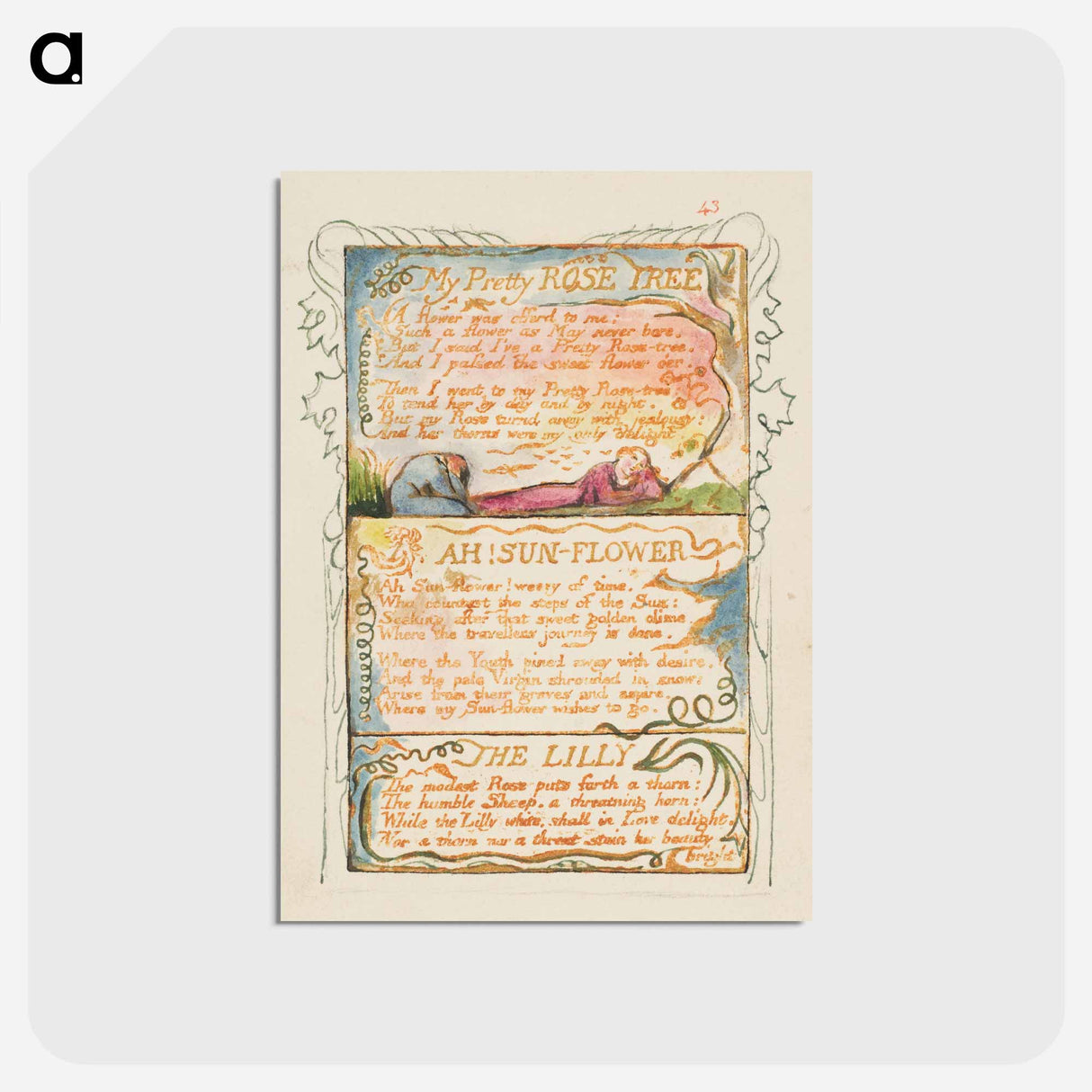 アートポストカード-Songs of Innocence and of Experience: My Pretty Rose Tree, Ah! Sun-Flower, The Lily - ウィリアム ブレイク Postcard.