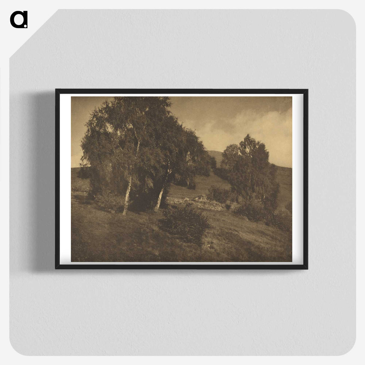 3-25_Alfred-Stieglitz_blk-crop