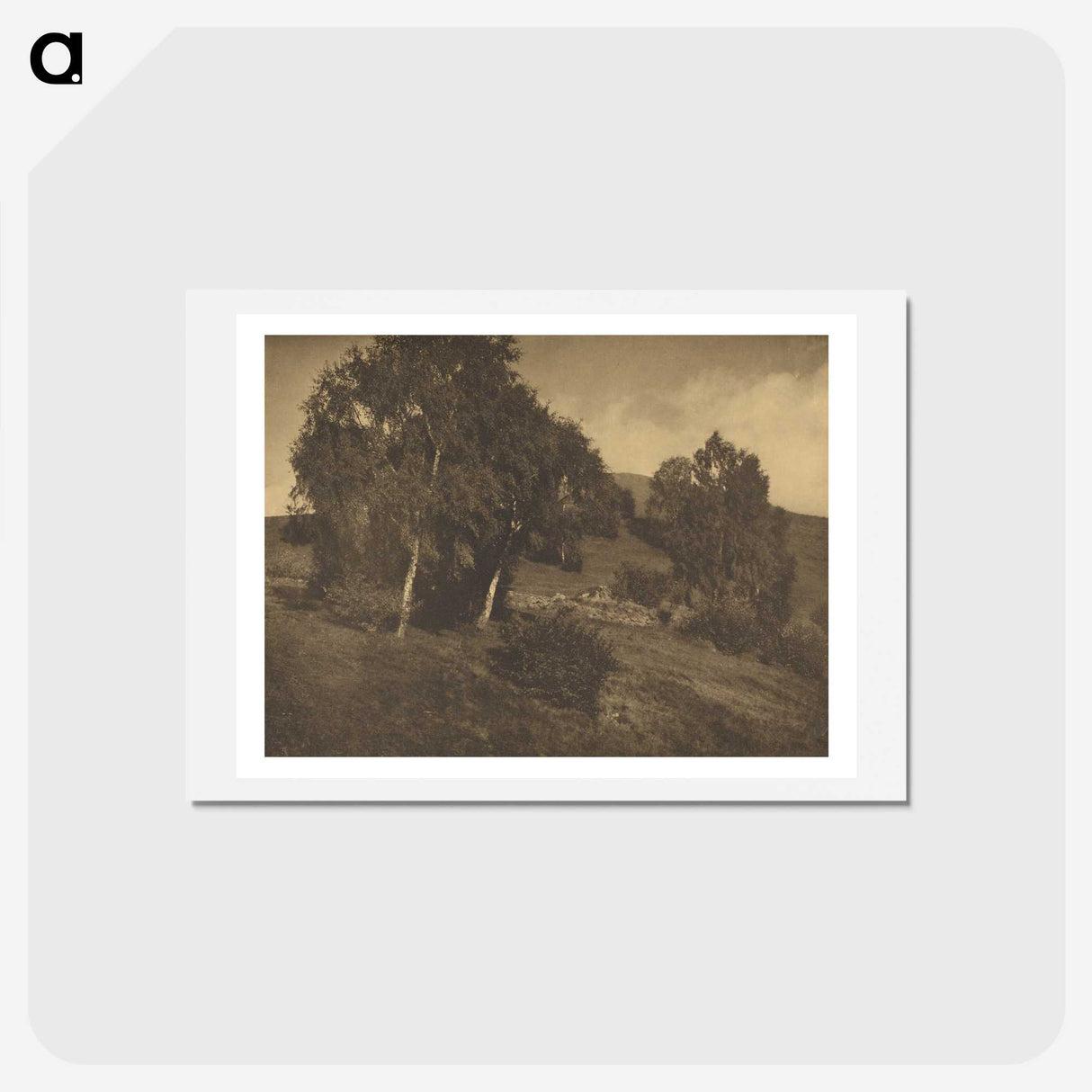 3-25_Alfred-Stieglitz_hagaki