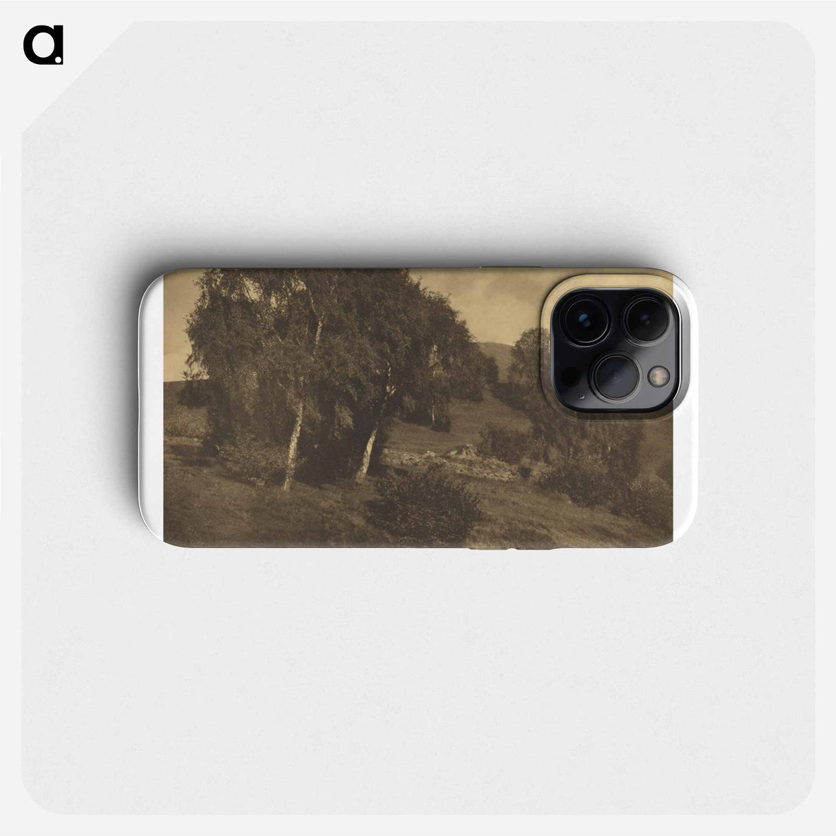 Landscape, The Tyrol - アルフレッド スティーグリッツ Phone Case.