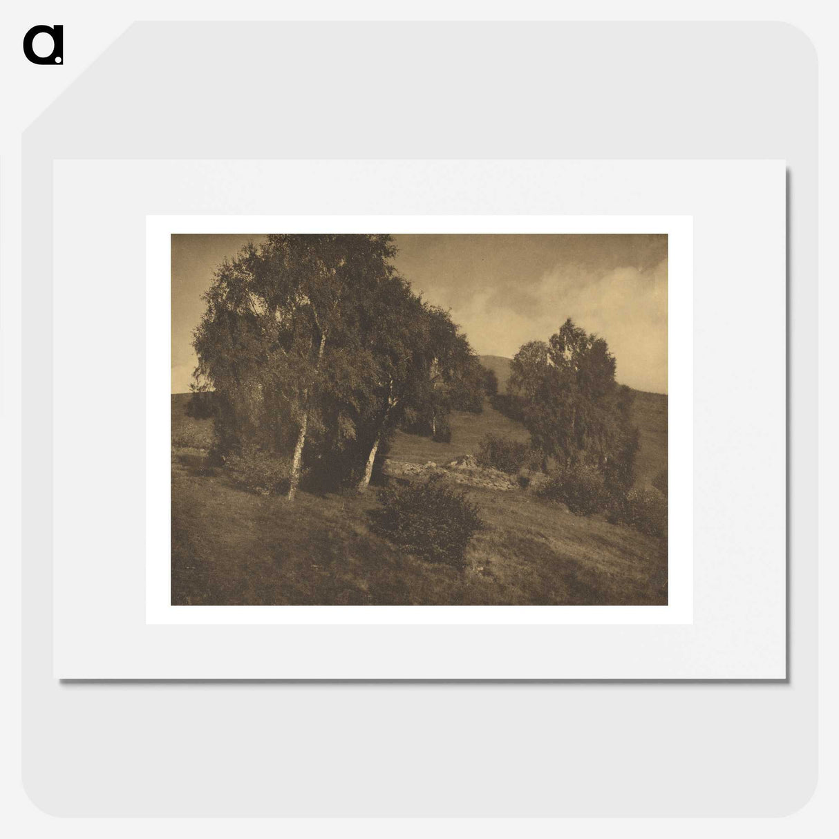 3-25_Alfred-Stieglitz_picture
