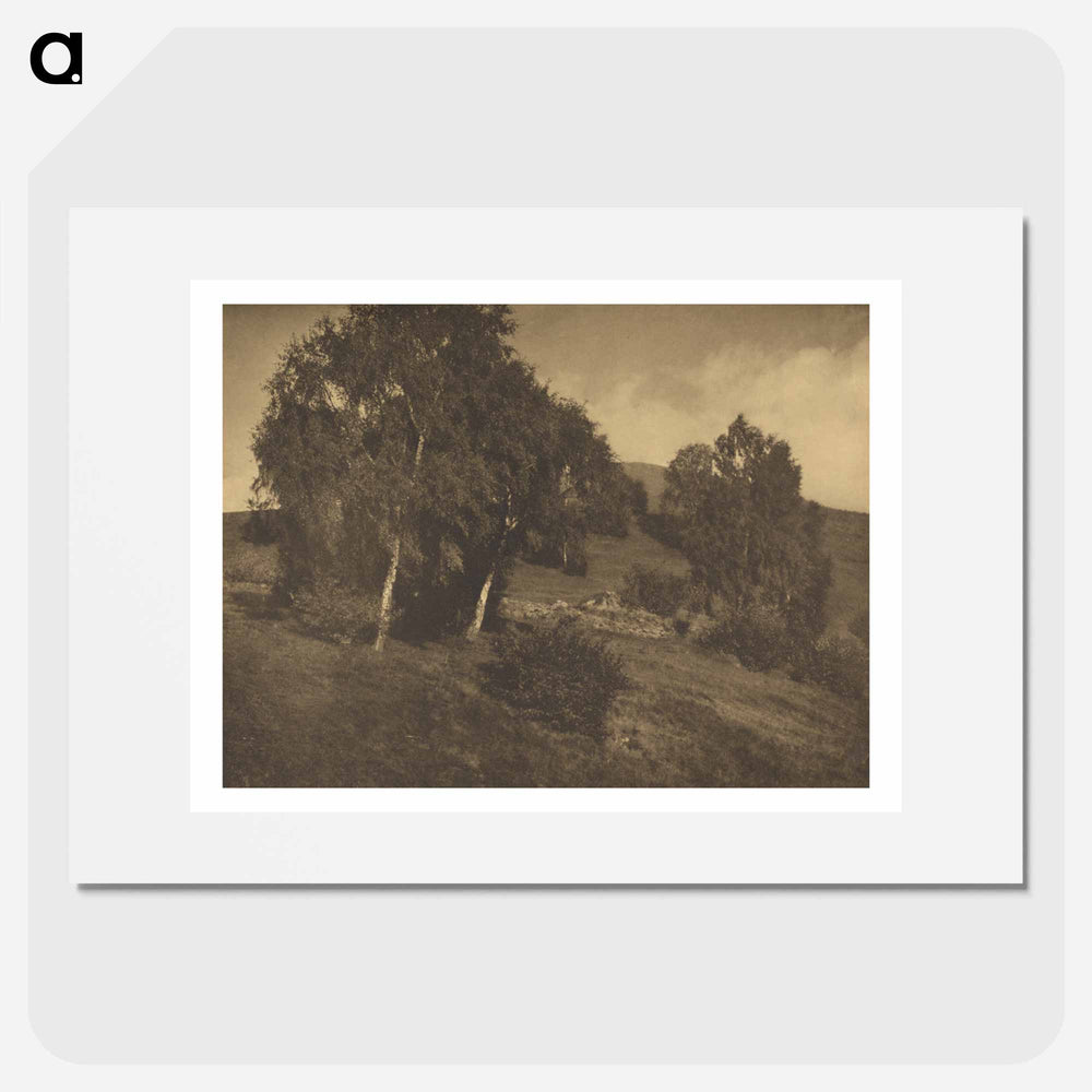 Landscape, The Tyrol - アルフレッド スティーグリッツ Poster.