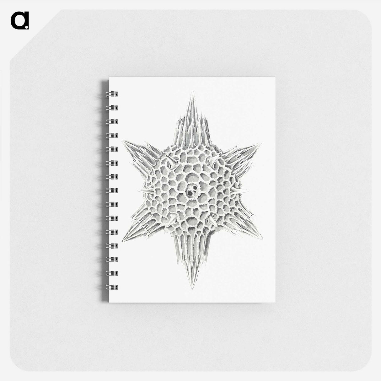 3-25_Ernst-Haeckel_memo