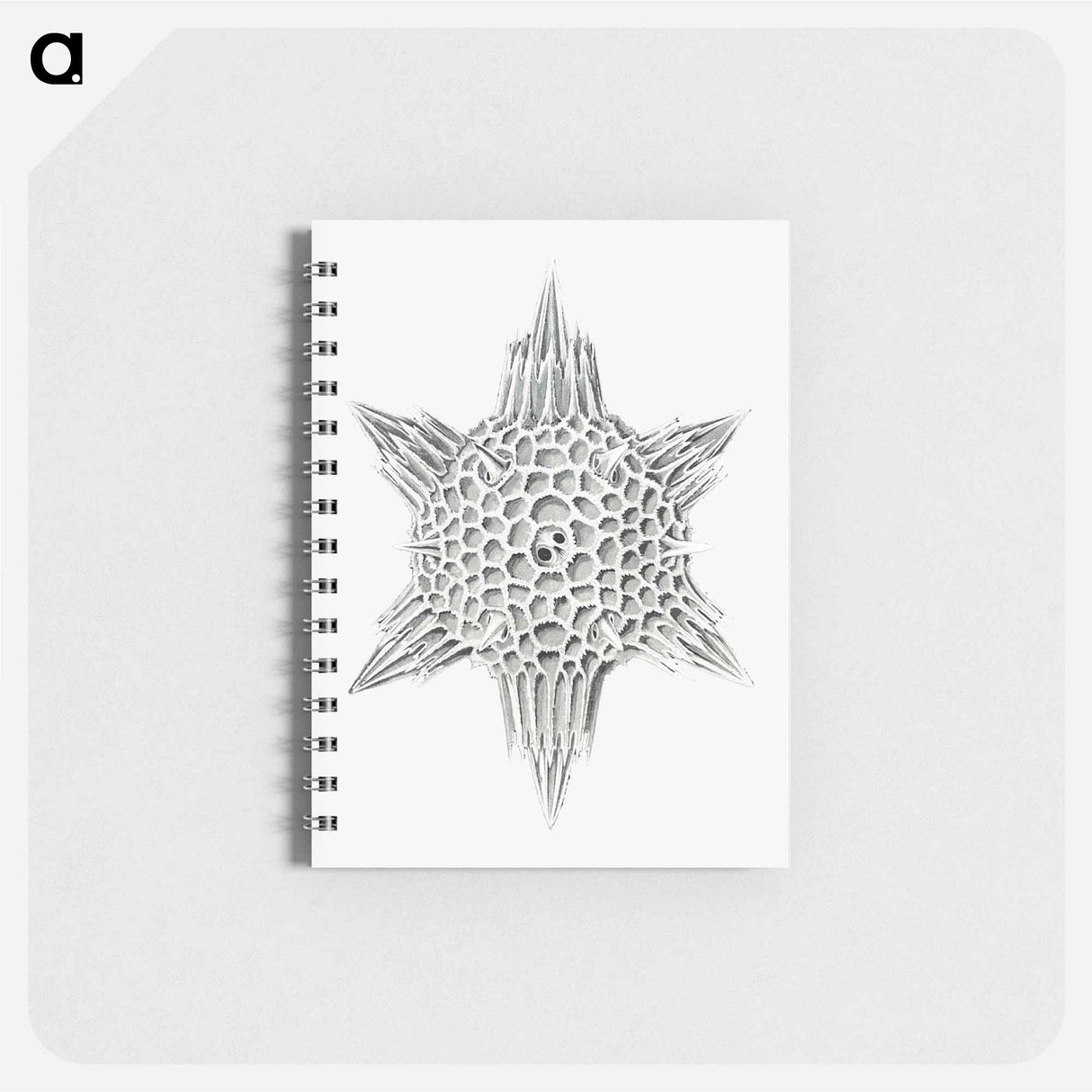アートメモ帳-Vintage marine life illustration on white background - エルンスト ヘッケル Memo.