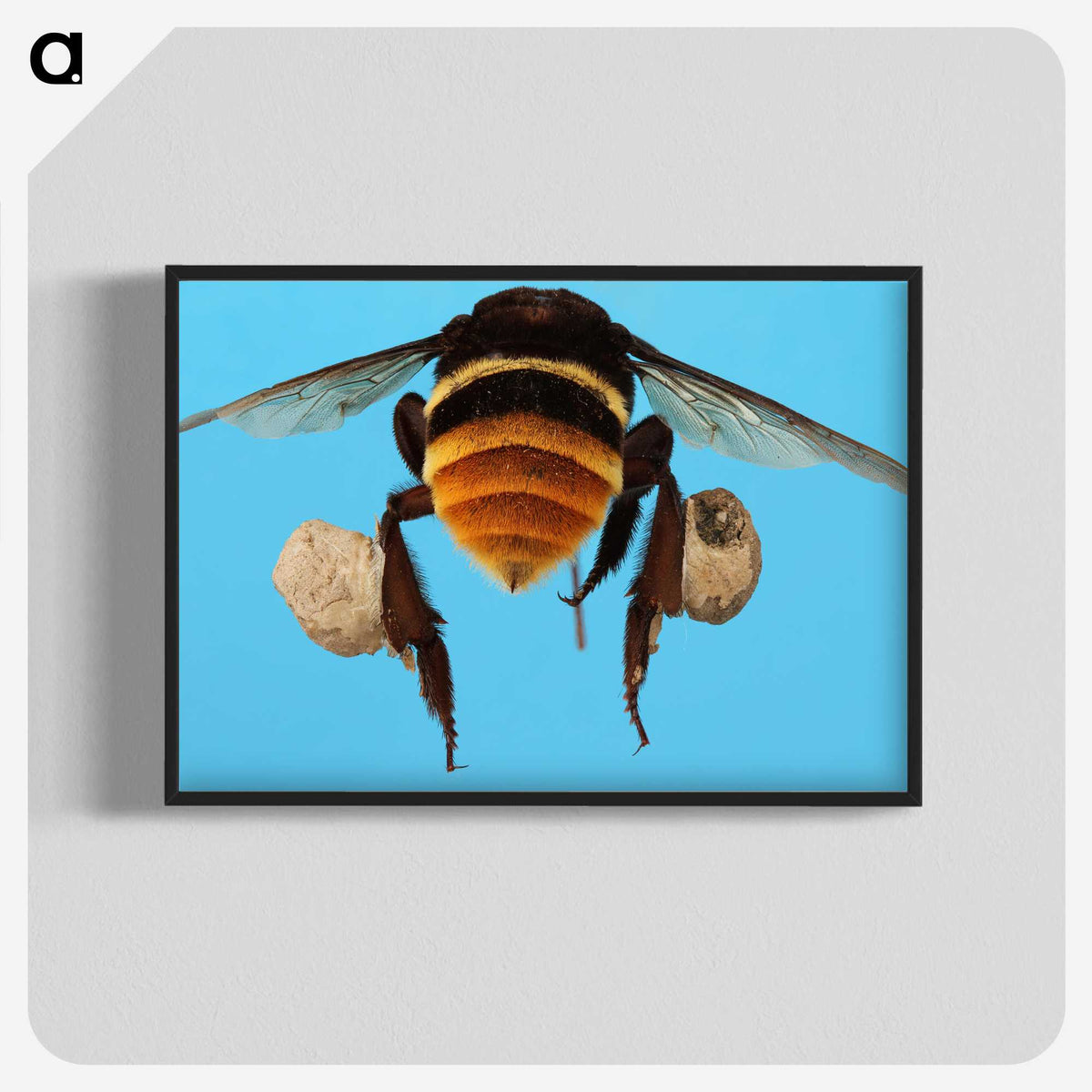 3-25_Insects-Unlocked-Project_blk-crop