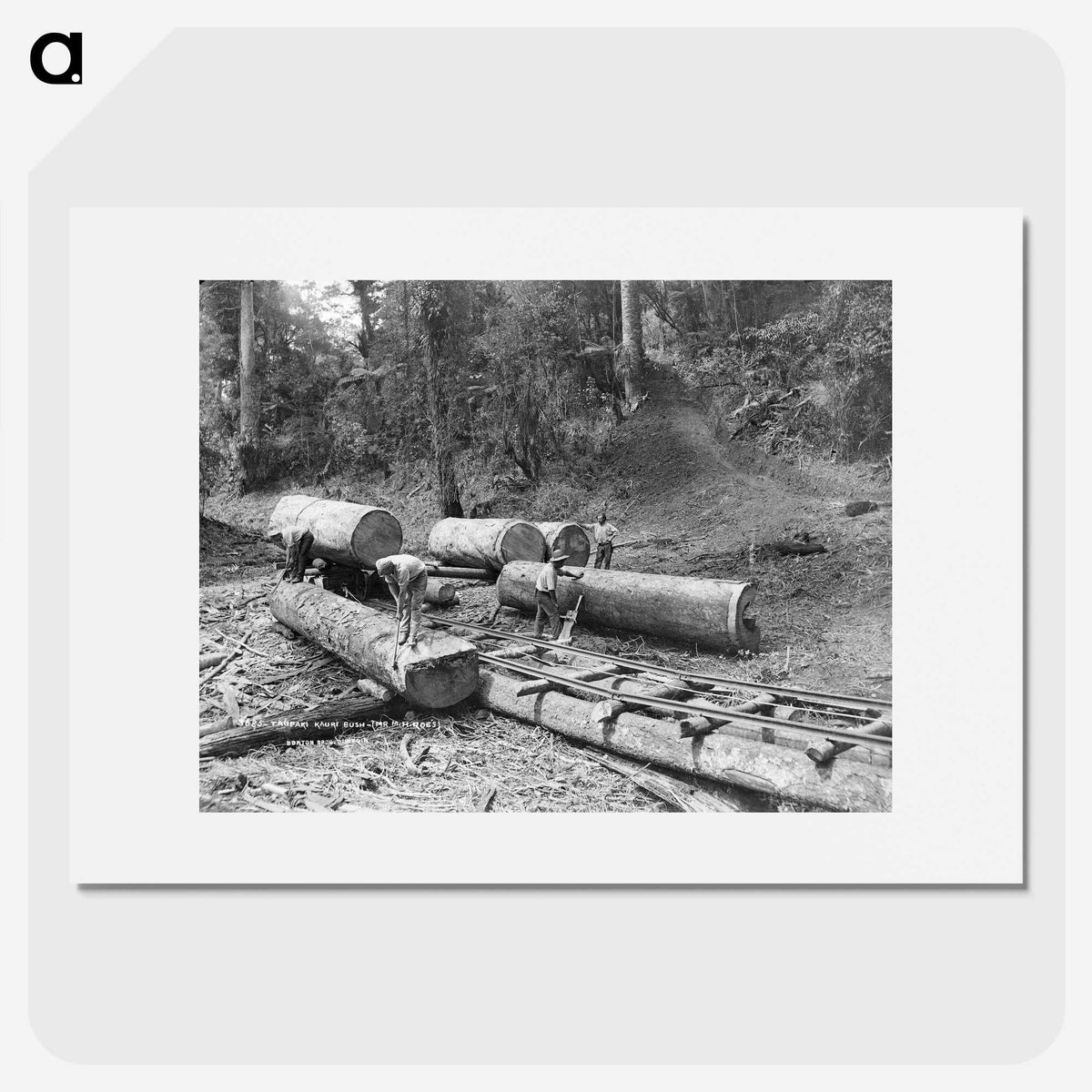 3-25_The-Burton-Brothers_picture