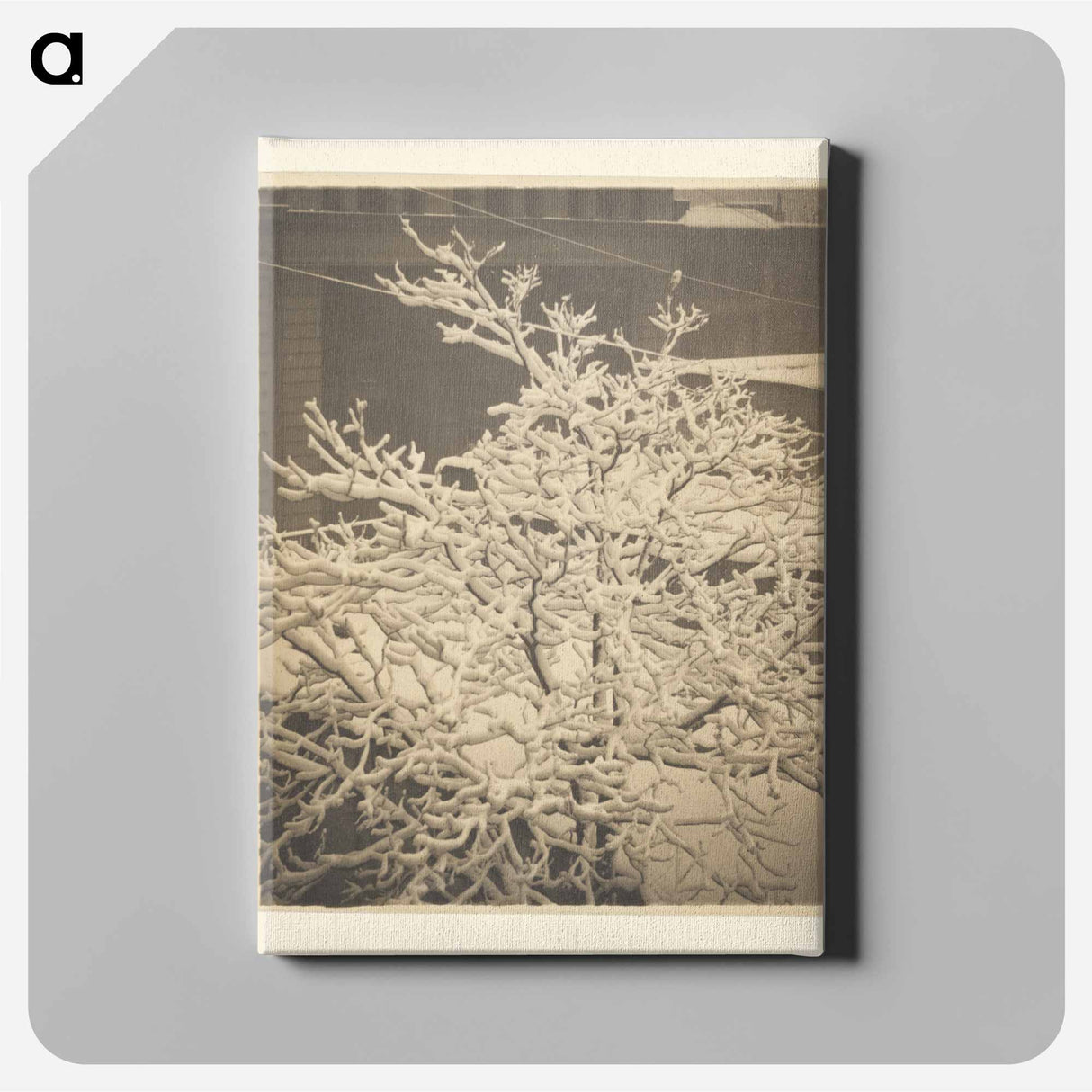 From the Back Window of 291 - アルフレッド スティーグリッツ Canvas.