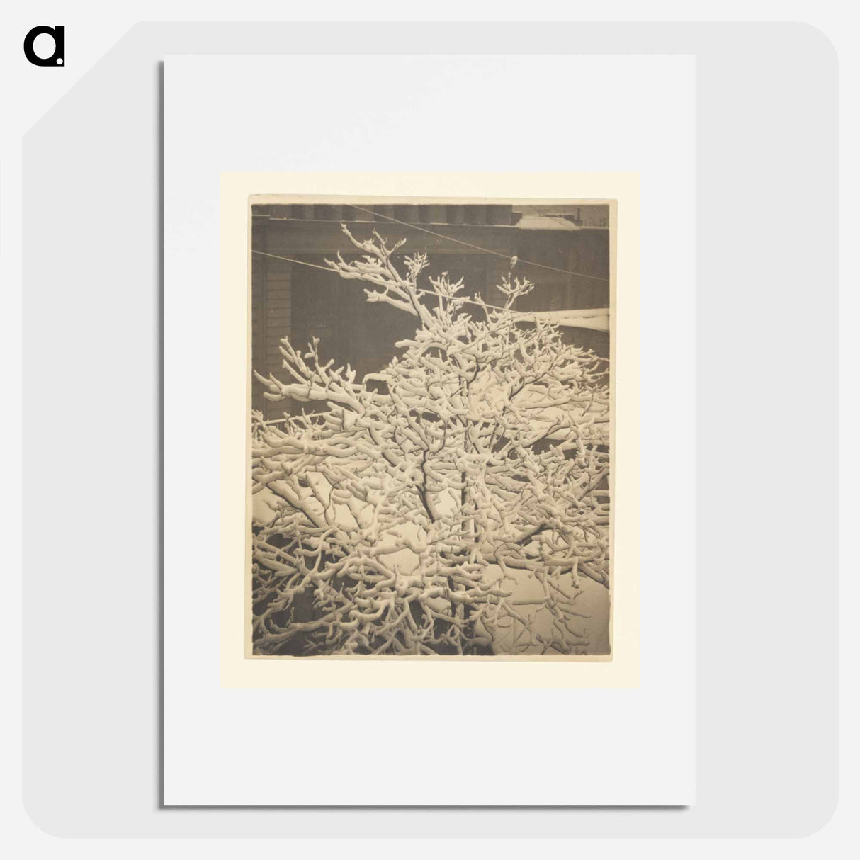 From the Back Window of 291 - アルフレッド スティーグリッツ Poster.