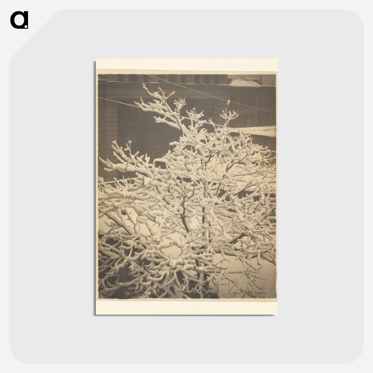 From the Back Window of 291 - アルフレッド スティーグリッツ Postcard.