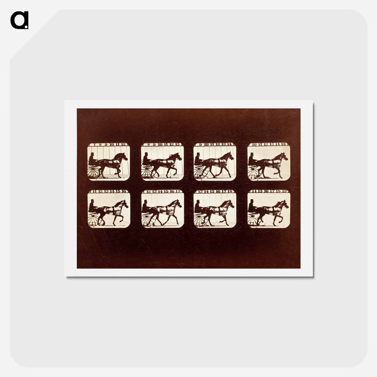 アートポストカード-Animal Locomotion (Man In Horse-Drawn Cart)
- エドワード マイブリッジ Postcard.