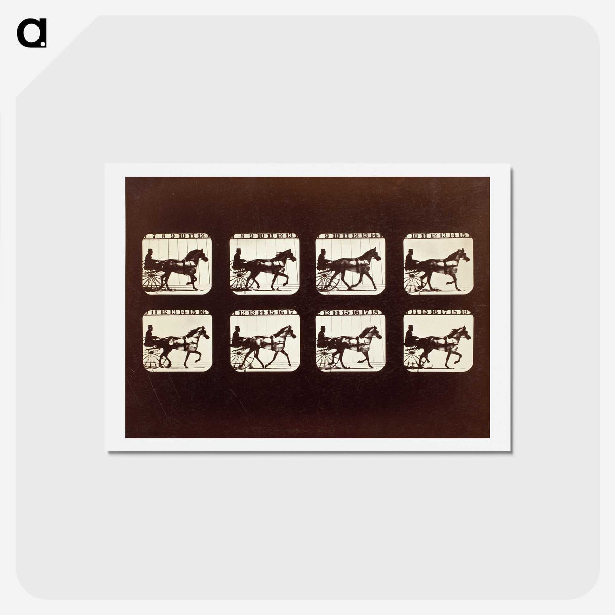 3-26_Eadweard-Muybridge_hagaki