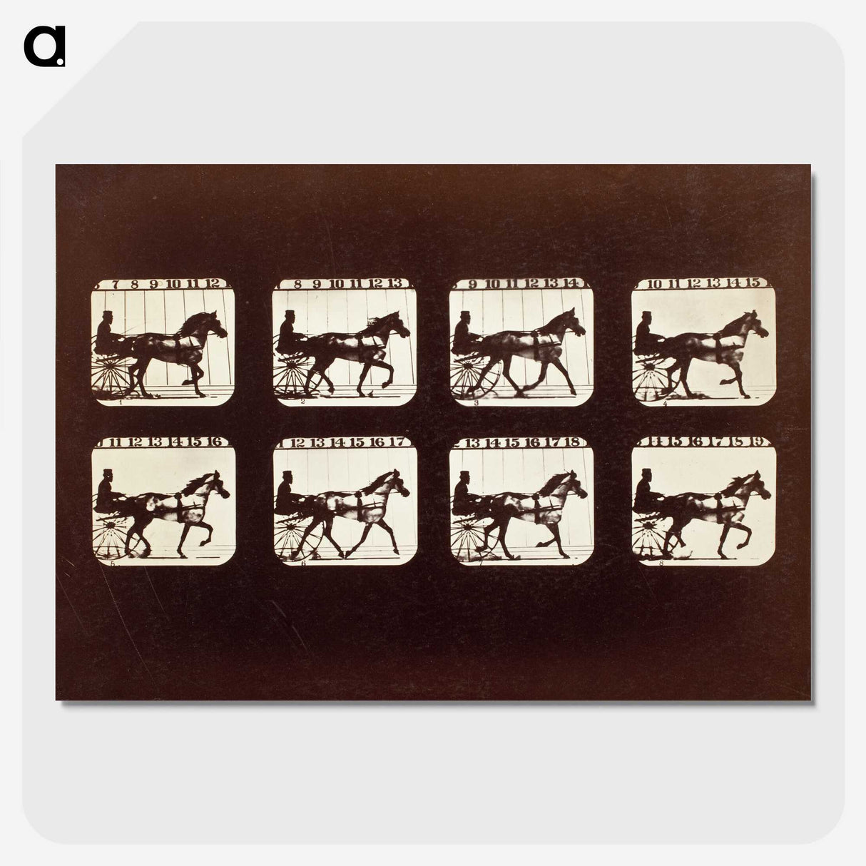 3-26_Eadweard-Muybridge_picture-crop
