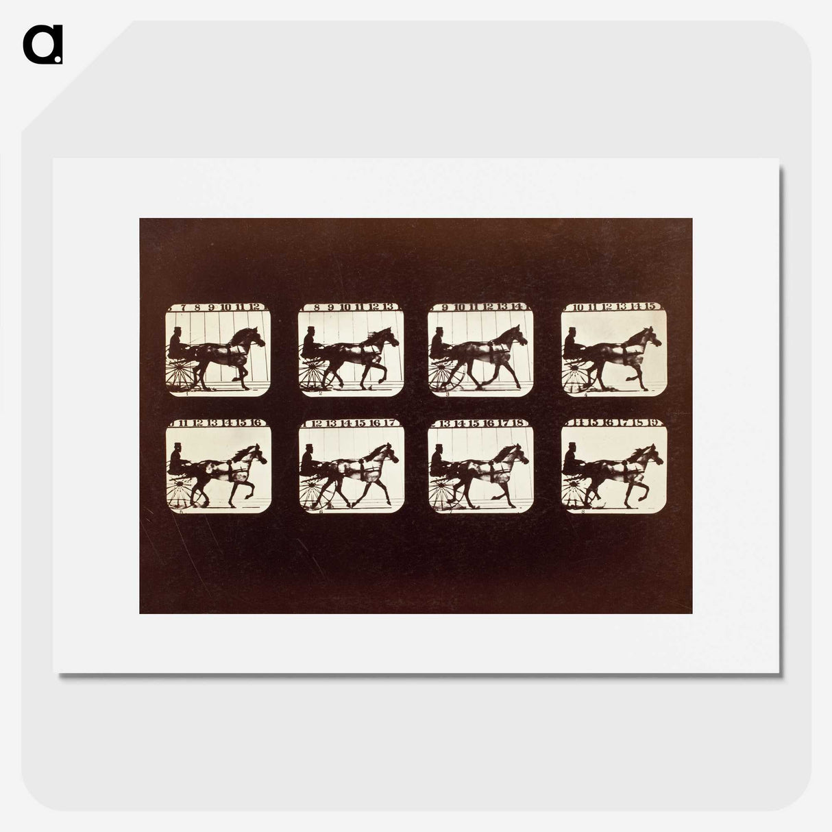 3-26_Eadweard-Muybridge_picture