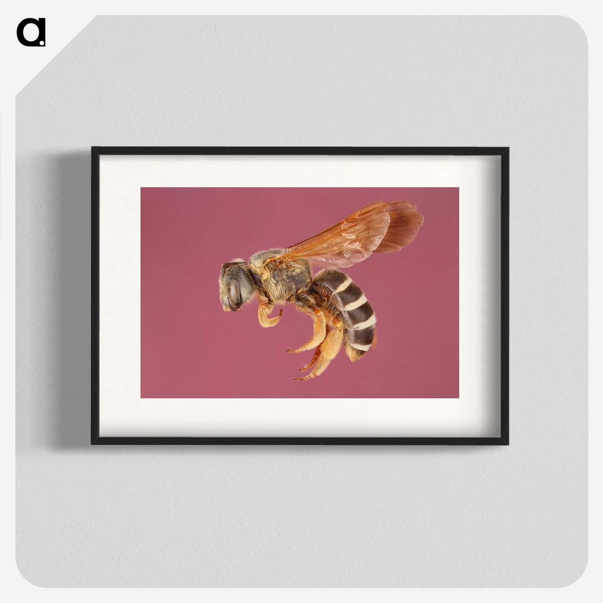 3-26_Insects-Unlocked-Project_blk