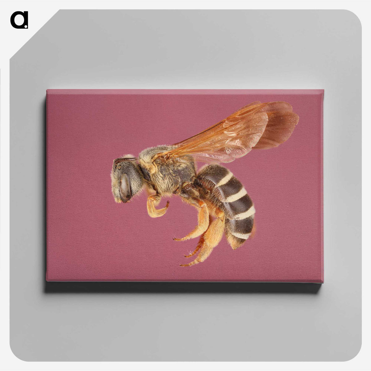 3-26_Insects-Unlocked-Project_canvas