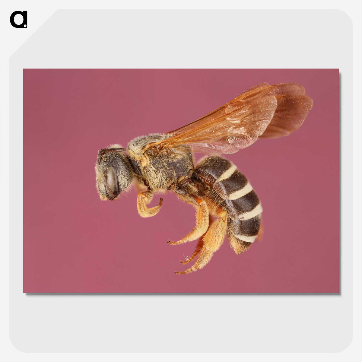 3-26_Insects-Unlocked-Project_picture-crop