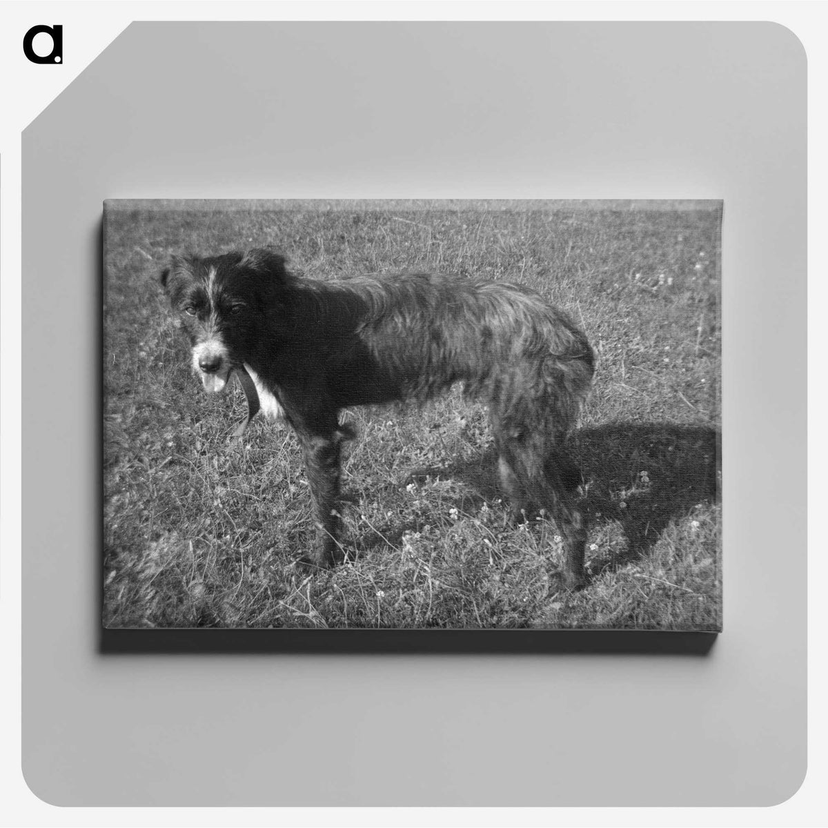 3-26_Leslie-Adkin_canvas