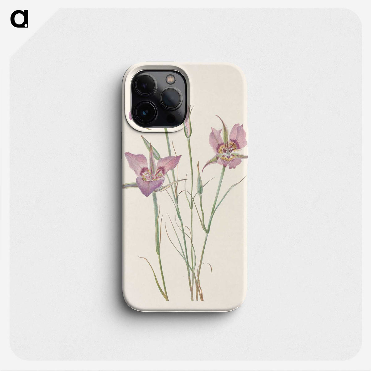 3-26_Mary-Vaux-Walcott_phone
