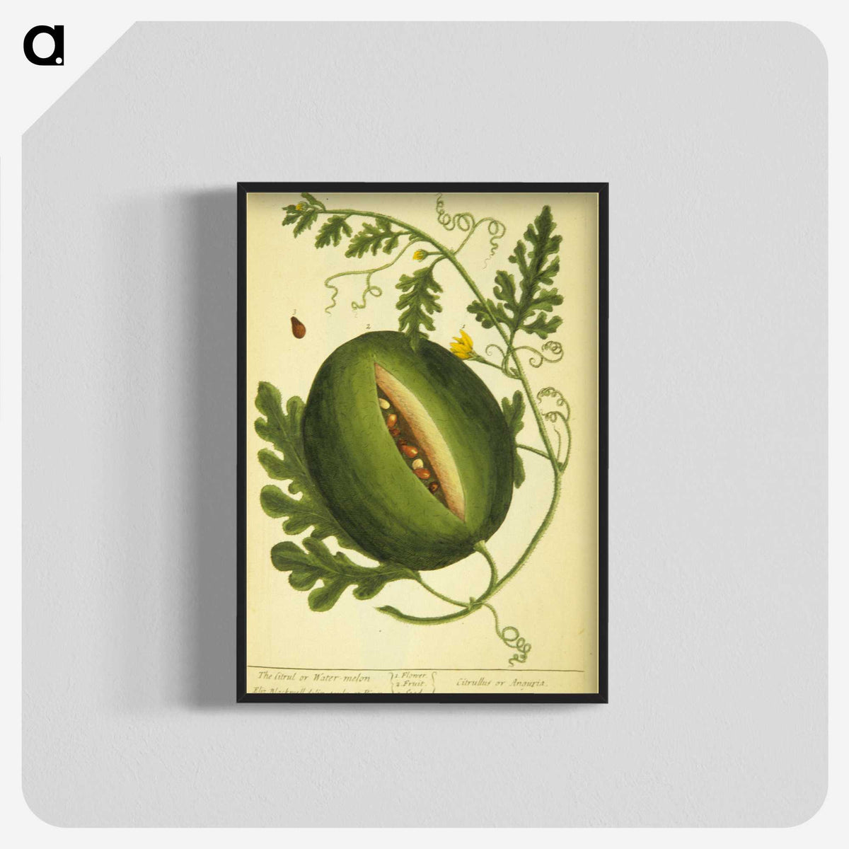 3-26_National-Library-of-Medicine_blk-crop