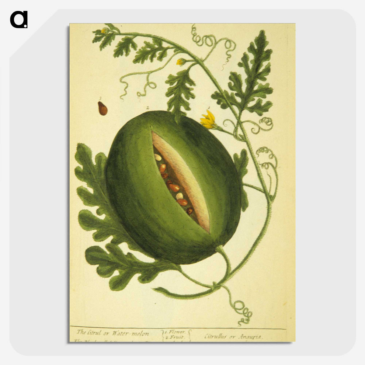 3-26_National-Library-of-Medicine_picture-crop