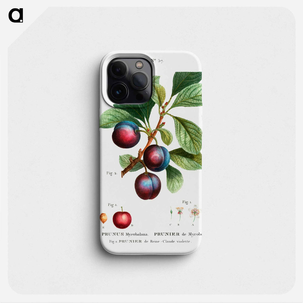 Myrobalan plum - ピエール ジョゼフ ルドゥーテ Phone Case.
