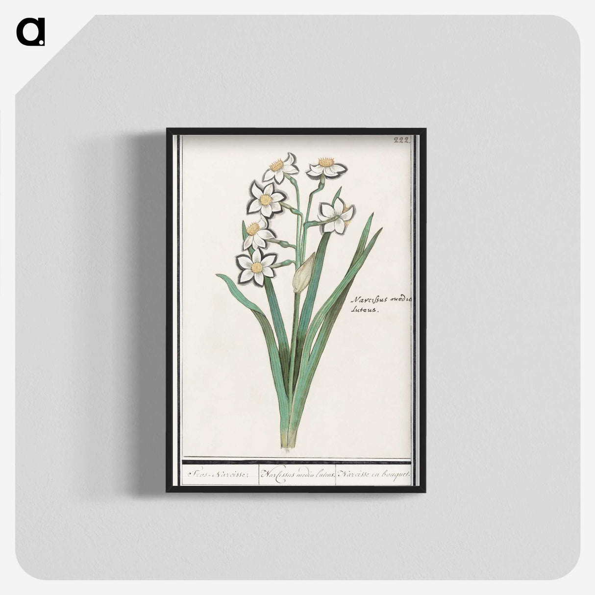 3-27_Anselmus-Boetius-de-Boodt_blk-crop