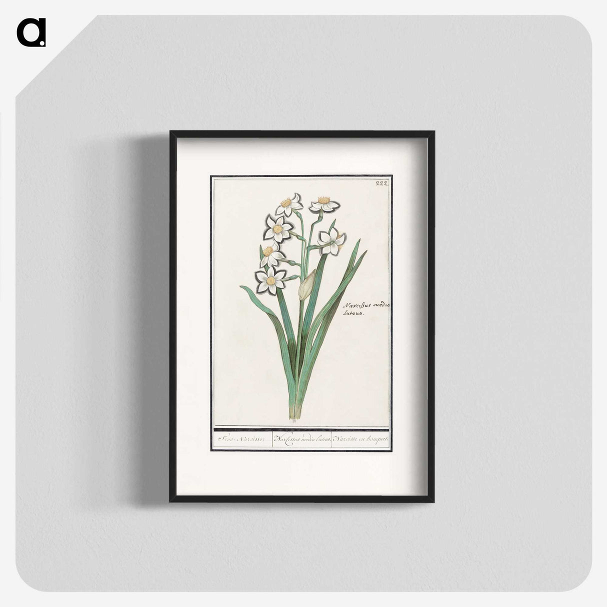 3-27_Anselmus-Boetius-de-Boodt_blk