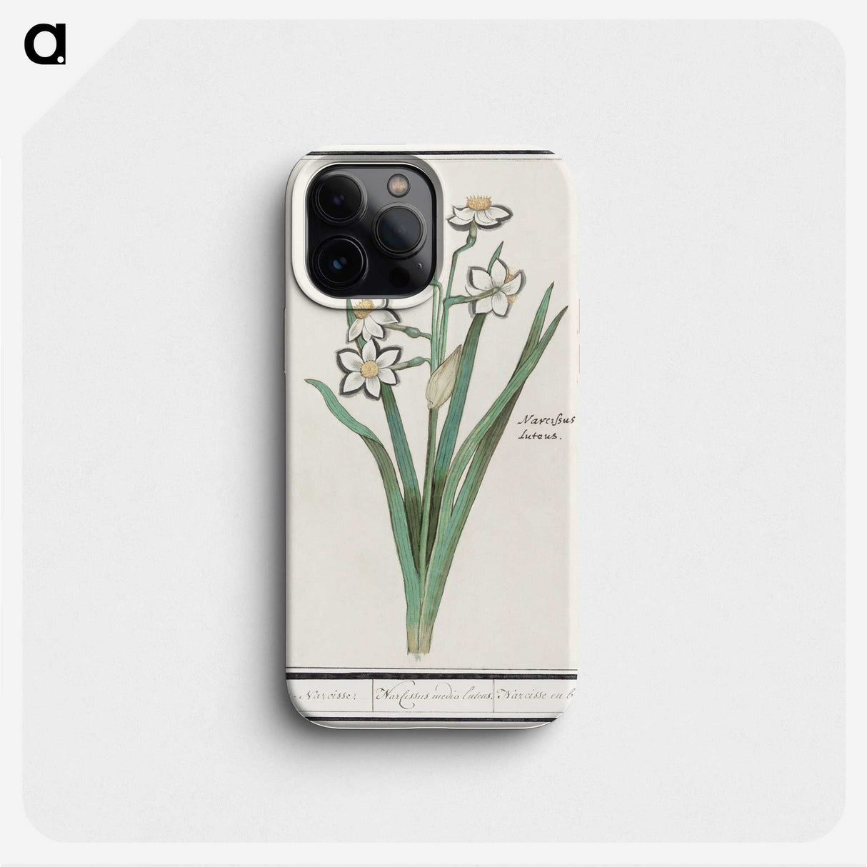 3-27_Anselmus-Boetius-de-Boodt_phone