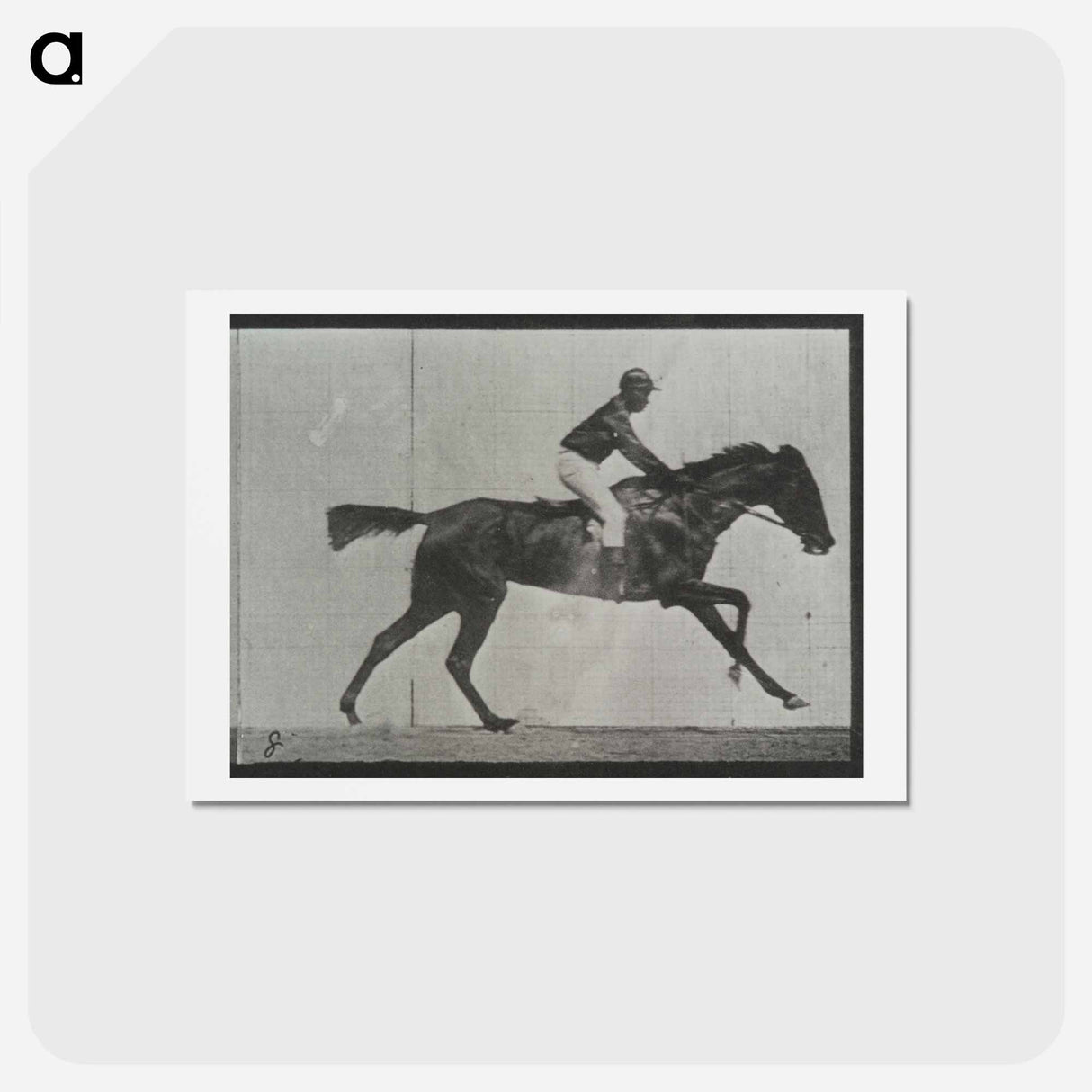 アートポストカード-Galloping Horse and Rider
- エドワード マイブリッジ Postcard.