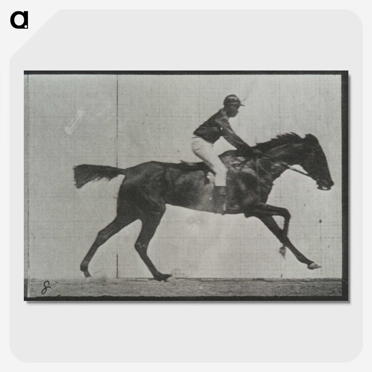3-27_Eadweard-Muybridge_picture-crop