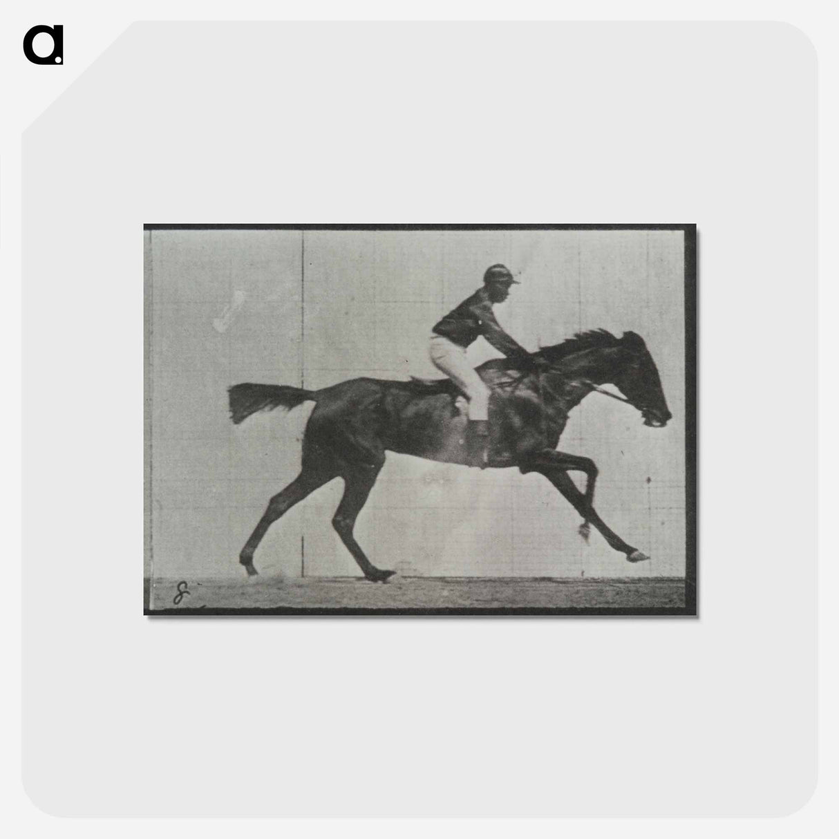 アートポストカード-Galloping Horse and Rider
- エドワード マイブリッジ Postcard.