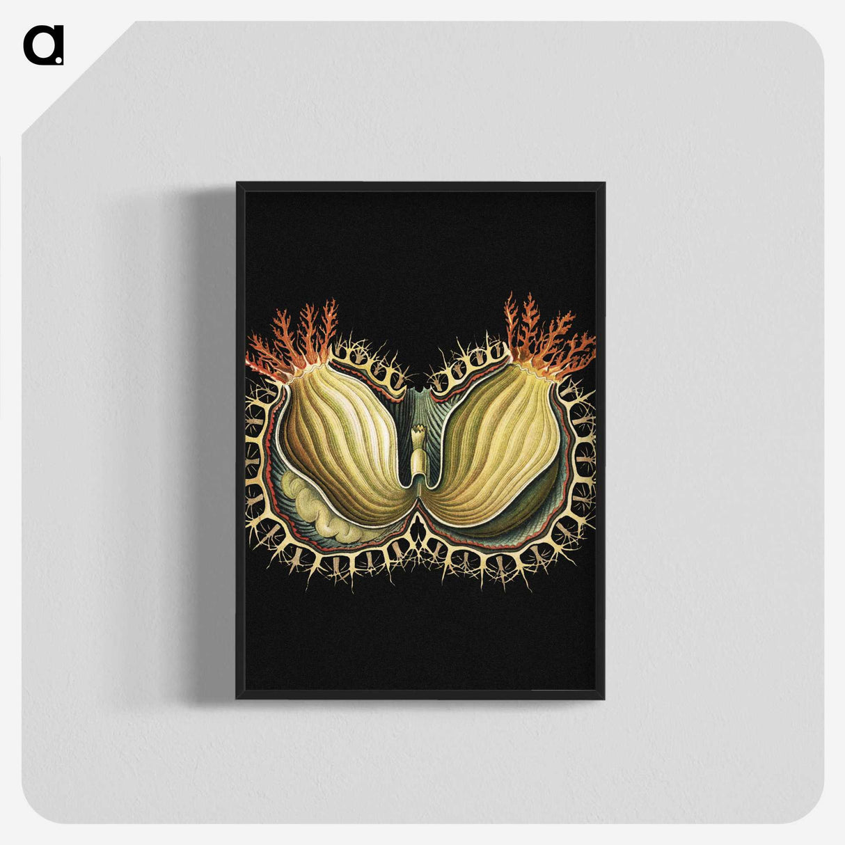 3-27_Ernst-Haeckel_blk-crop