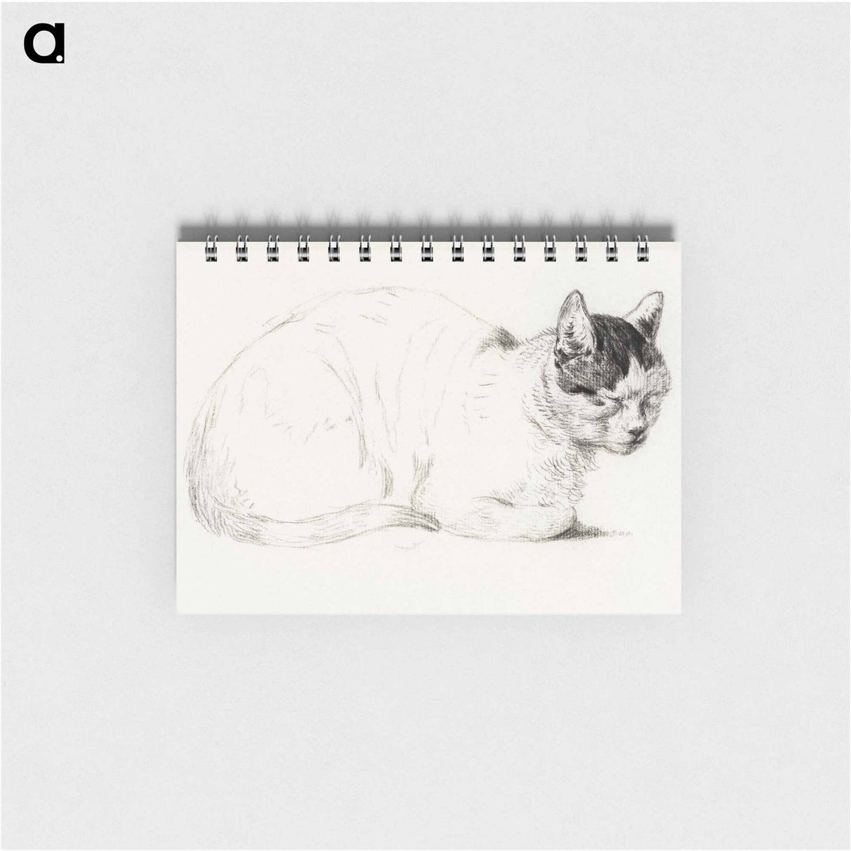 Sketch of a cat - ジャン ベルナール Memo.