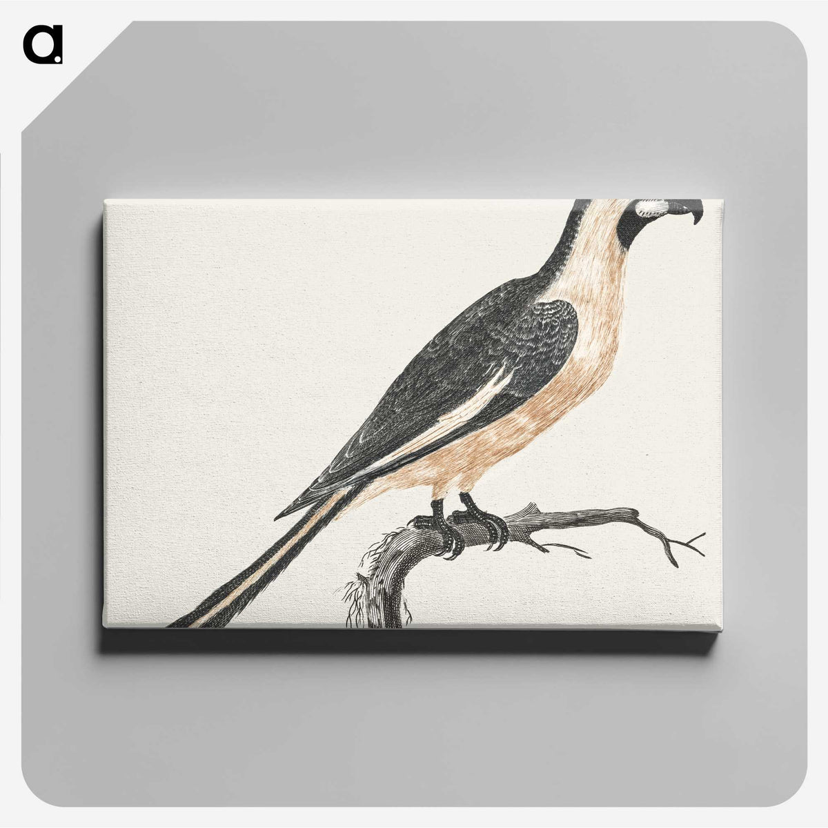 3-27_Johan-Teyler_canvas