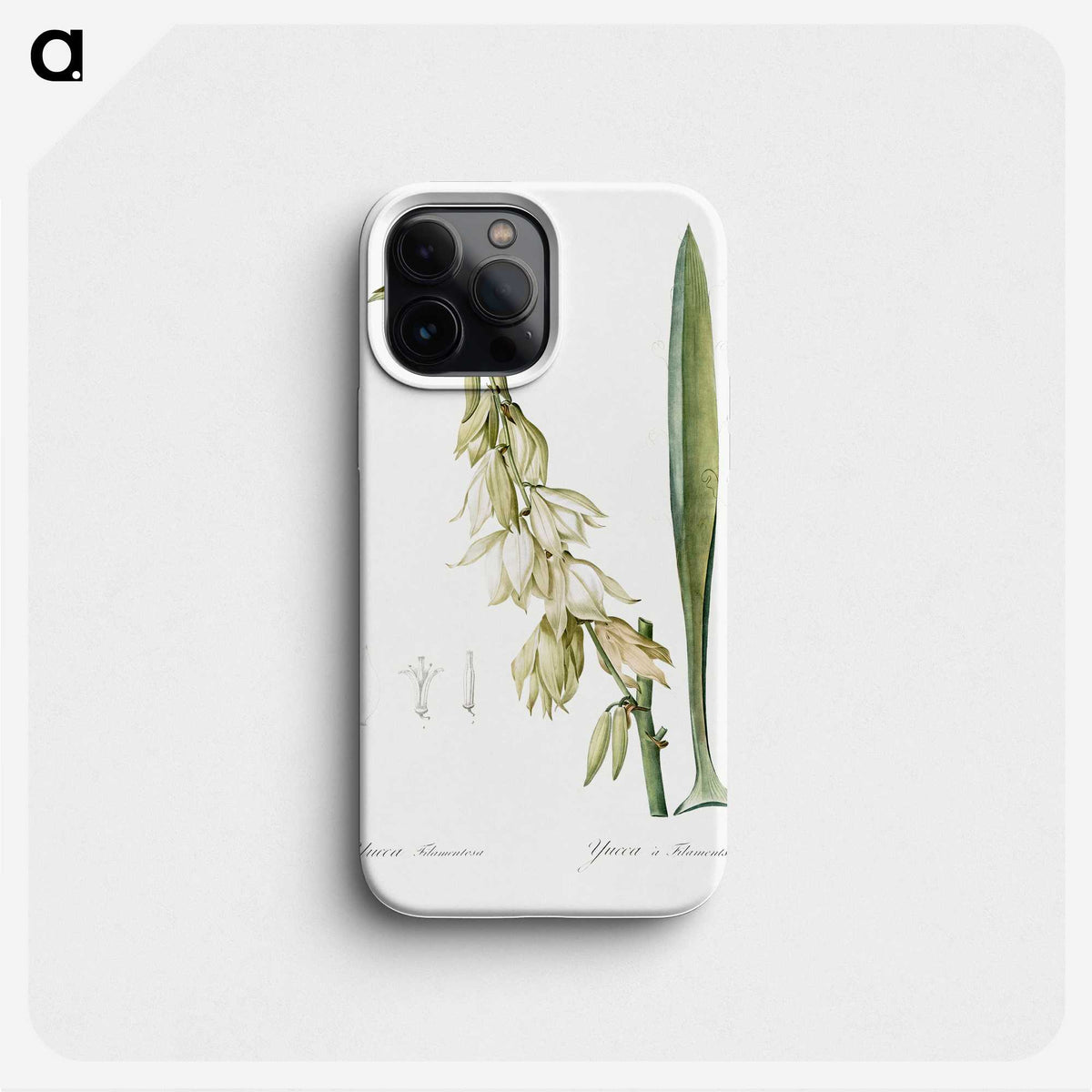3-27_The-Lilies_phone