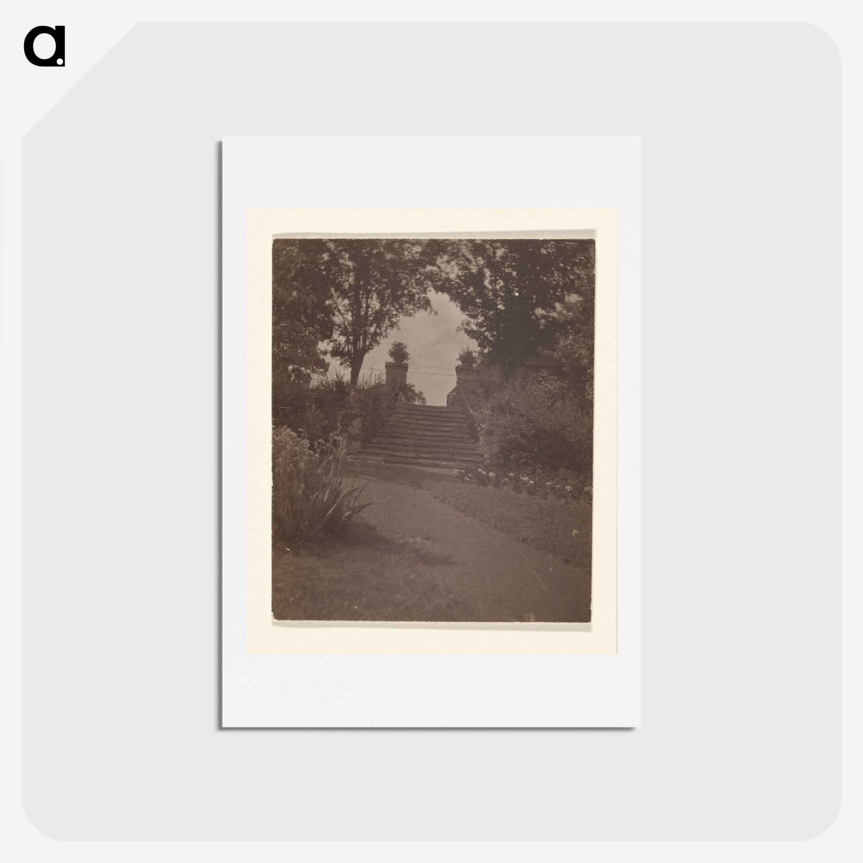 3-28_Alfred-Stieglitz_hagaki