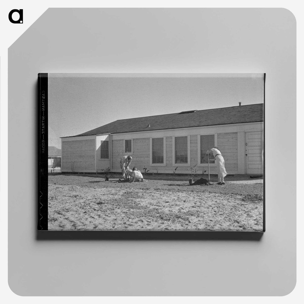 3-28_Dorothea-Lange_canvas
