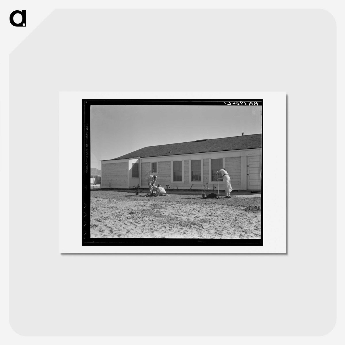 3-28_Dorothea-Lange_hagaki