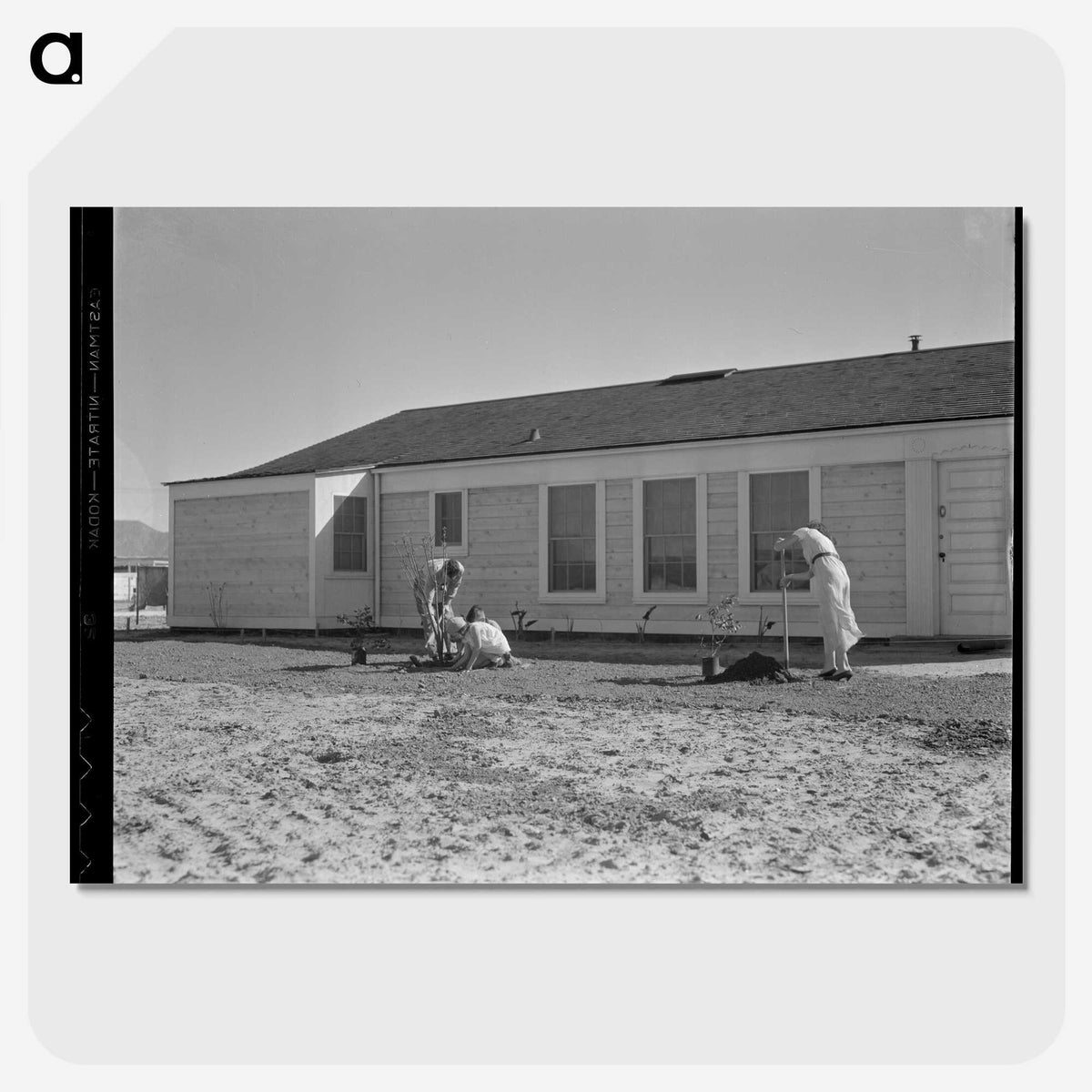 3-28_Dorothea-Lange_picture-crop